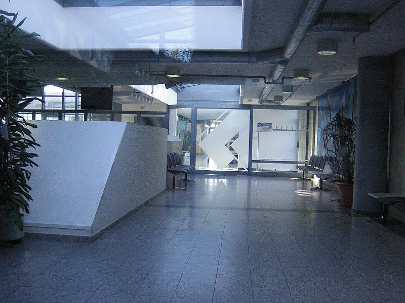 P1390775.JPG
