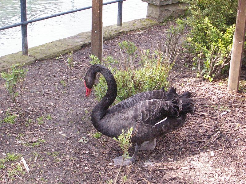 P1390839.JPG