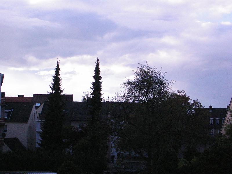 P1390850.JPG