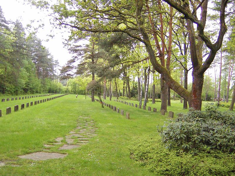 P1390874.JPG
